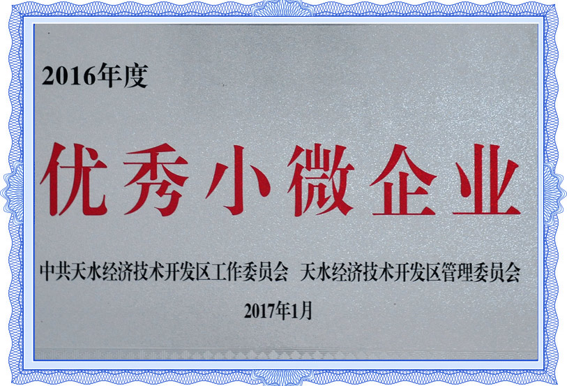 2016年小微企业